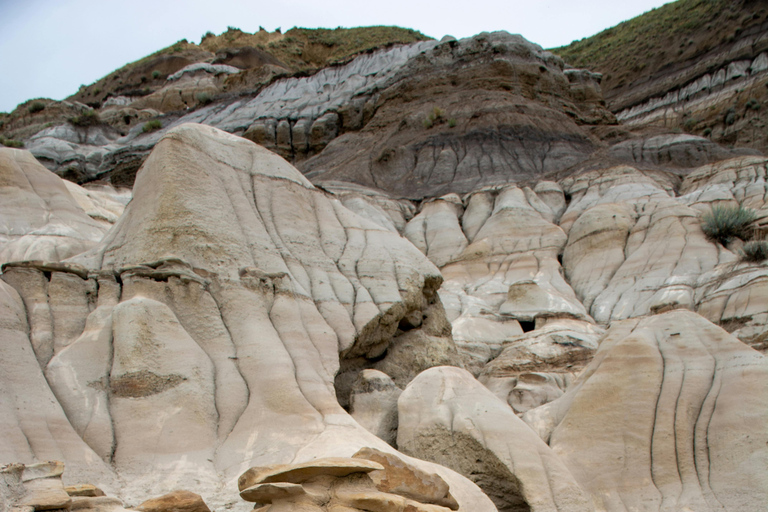 Badlands Tour: Drumheller with Museum, Hoodoos & Dinosaurs Booking Option for Summer 2026