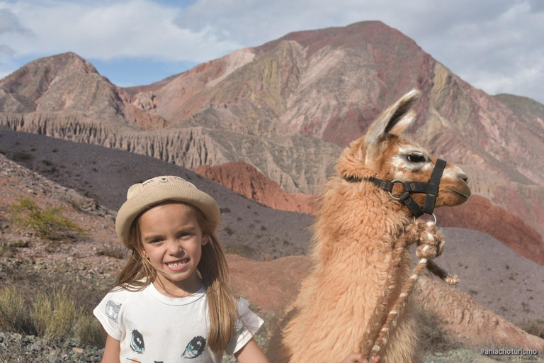 Purmamarca: Hiking with Llamas through multicolored mountains