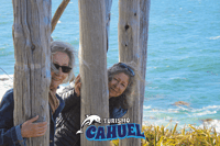 Penguins in Chiloé, rocce e uccelli. - Housity