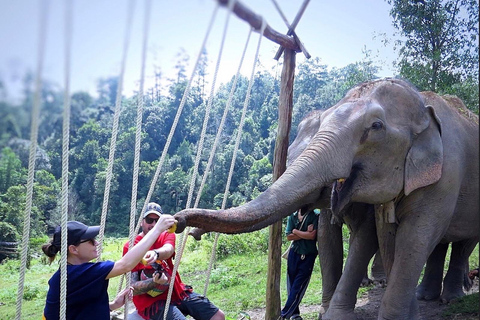 Chiang Mai: Ethisch olifantenopvangcentrum en ATV avontuur2 uur ATV- en heiligdombezoek met lunch en transfer