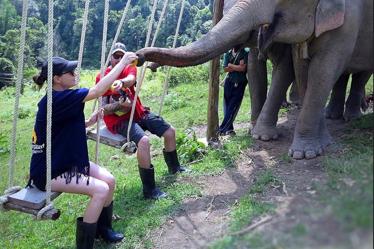 Chiang Mai : Sanctuaire d'éléphants éthiques et aventure en VTT2 heures de VTT et visite du sanctuaire avec déjeuner et transfert