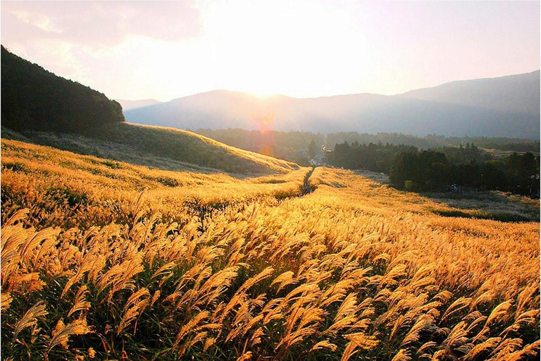 Tokyo: Hakone Private Luxury Day Tour with English Driver