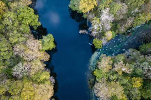 Gilchrist Blue: Clear Kayak Eco Tour