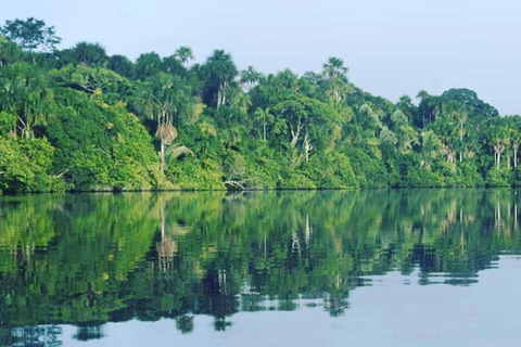 Tambopata: Sandoval Lake and Cayman Safari 2 days