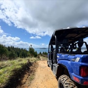 Mount Ngongotahā 4WD Guided Buggy Tour