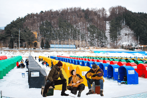 Uit Seoel: Pyeongchang ForelfestivalGroepstour, verzamelen bij Hongik University Station