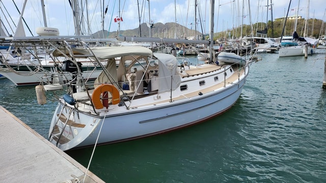 Sail tour to Catalina Island from La Romana