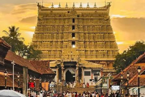Kerala: Kochi, Munnar, Alleppey & Trivandrum Multi-Day Tour From Kochi: 7 Days Private Tour (All Inclusive)