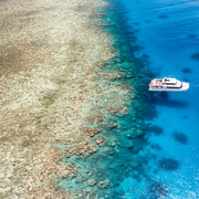Port Douglas: Poseidon Outer Barrier Reef Dive and Snorkel