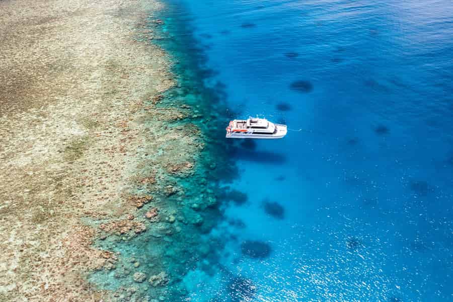 Port Douglas: Poseidon – Tauchen und Schnorcheln am äußeren Barriereriff. Foto: GetYourGuide