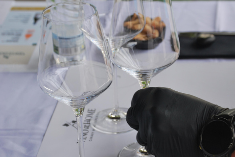 Tenerife: Private Canary Wine Tasting at Your Villa