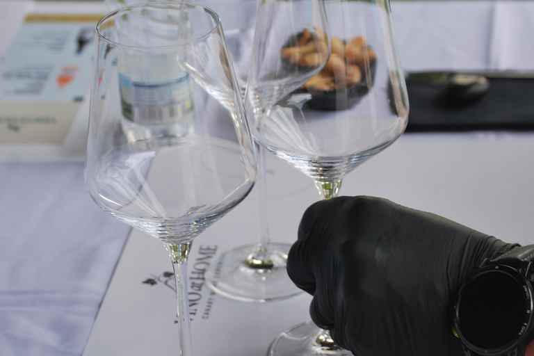 Tenerife: Private Canary Wine Tasting at Your Villa
