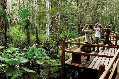 Madre de Dios-Inkaterra Amazonas-Reservat Erfahrung 3 Tage Tour