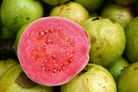 Lima Exotic Fruit Tasting: A Journey Through Peru’s Fruits Shared Group Tasting Session