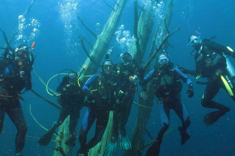 Bariloche: Diving baptism in Moreno Lake