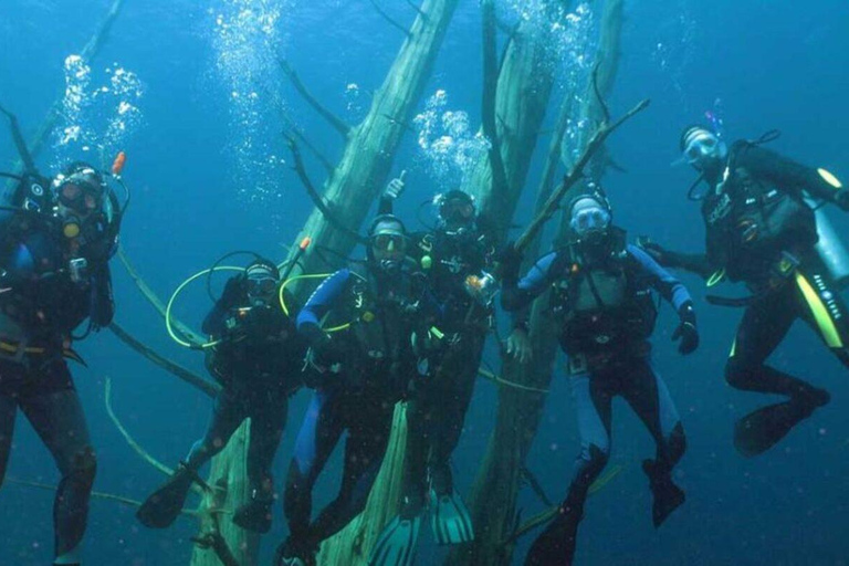 Bariloche: Diving baptism in Moreno Lake