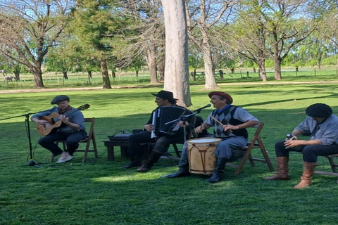 从布宜诺斯艾利斯出发：埃尔翁布德阿雷科（含接送服务）从布宜诺斯艾利斯出发：阿雷科的奥姆布树，含接送服务