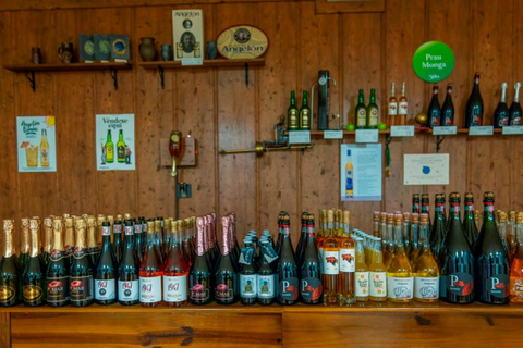 Vda. de Angelón Cider: guidat besök på en ciderpress med provsmakning