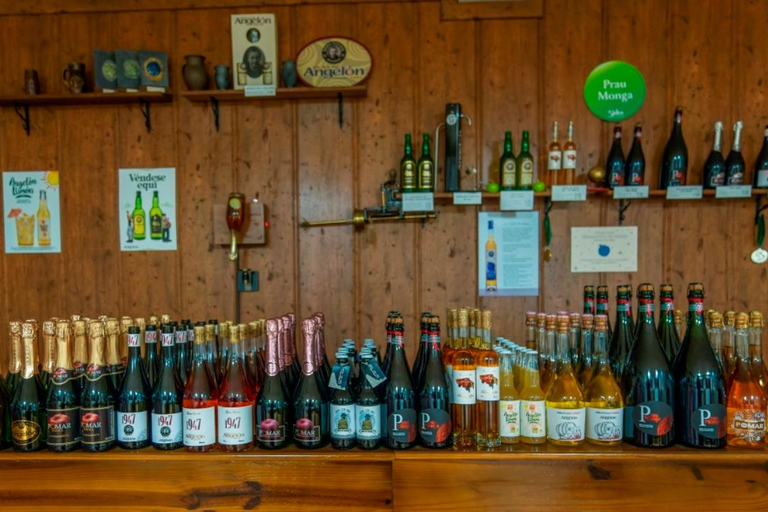 Vda. de Angelón Cider: guidat besök på en ciderpress med provsmakning