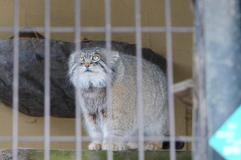 Hokkaido Tour：Asahiyama Zoo &Biei Waterfalls &Ningle Terrace Sapporo TV Tower 1F Information Center Departure