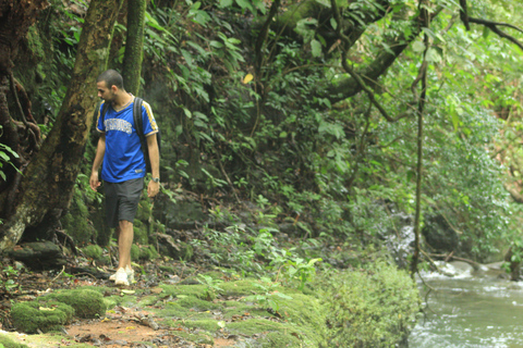 Boquete: Tour Familiar (Experiencias en caldera)