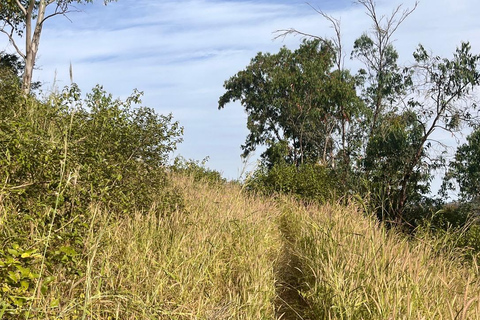 Rui Vaz Scenic Hike and Botanical Garden Stop