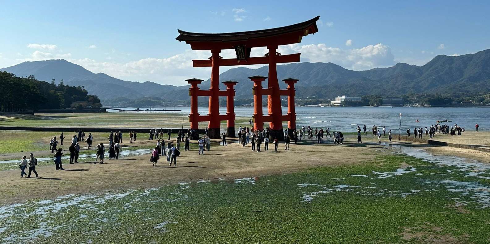 Hiroshima Miyajima tour — Peace Memorial and Miyajima Island — image 39