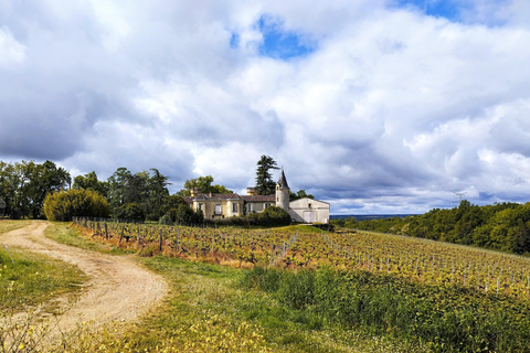 Bordeaux by gravel bike : Historic center &amp; Vineyards