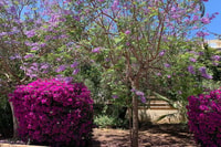 Costa Blanca，MTB Tour Riu Gorgos - Housity