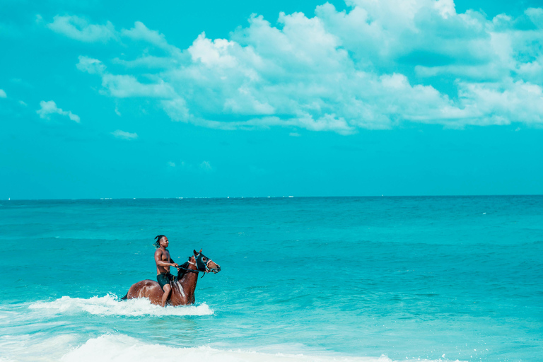 Zanzibar: Swimming with Horses and Ride in Ocean