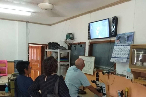 Lombok: Pearl Farm Tour and Gili Air Day Trip