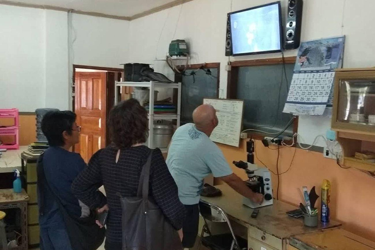 Lombok: Pearl Farm Tour and Gili Air Day Trip