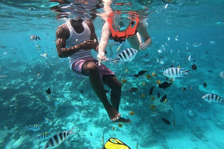 ZANZÍBAR: isla de la Prisión, natación en cuevas y Laguna Azul