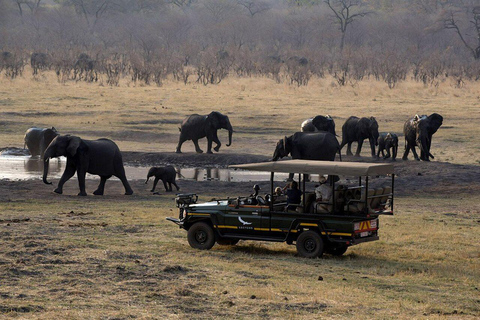 Zanzibar: Fly to Mikumi National Park for a Day Safari