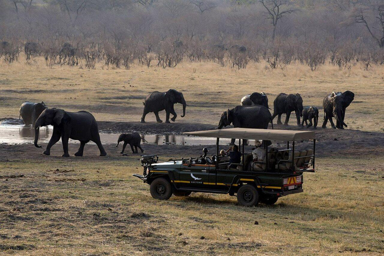 Zanzibar: Fly to Mikumi National Park for a Day Safari