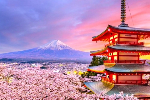 2-tägige private Tour Tokio MT Fuji und Hakone mit Guide