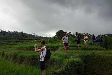 Bali: Explore culture and Trekking Beauty in Nongan Village