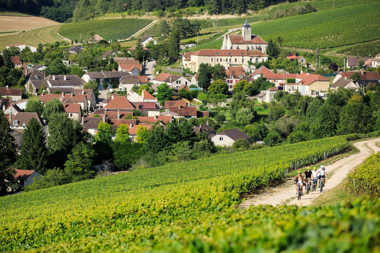 Champagne: Bollinger and Pressoria Museum Private from Paris