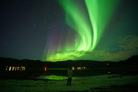 Tromsø: Wycieczka po zorzy polarnej z bezpłatnym profesjonalnym portretem