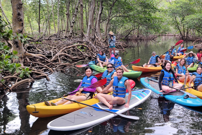 Miami: Biscayne Bay Ultimate Boat Tour with Kayak Experience