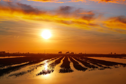 Barcelone : Visite des bains de thon dans le delta de l&#039;Ebre et route des oliviers