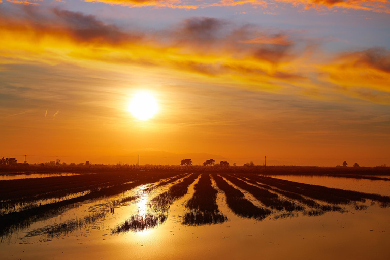 Barcelone : Visite des bains de thon dans le delta de l&#039;Ebre et route des oliviers