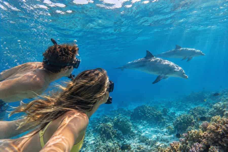 Hurghada: Schwimmen mit Delfinen & Ganztages-Bootstour zum Dolphin House. Foto: GetYourGuide Hurghada: Schwimmen mit Delfinen & Ganztages-Bootstour zum Dolphin House. Foto: GetYourGuide