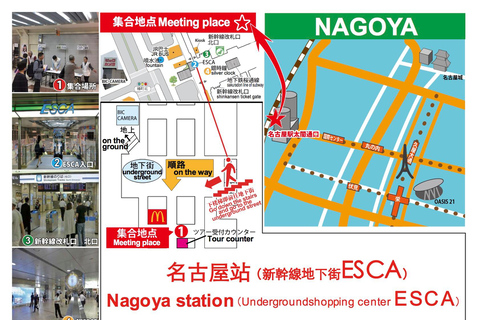 Nagoya: Obara Cherry Blossoms & Korankei Autumn Illumination