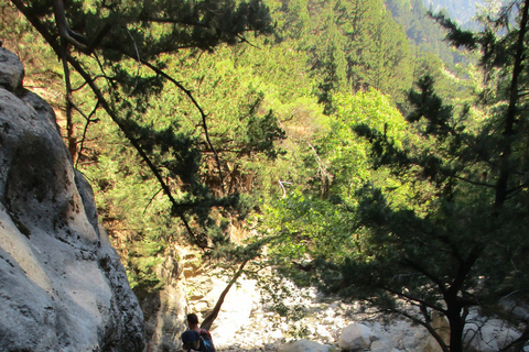 Vanuit Rethymno: Samaria Gorge-dagtocht met pick-upVanuit Gerani, Petres, Dramia, Kavros en Georgioupolis