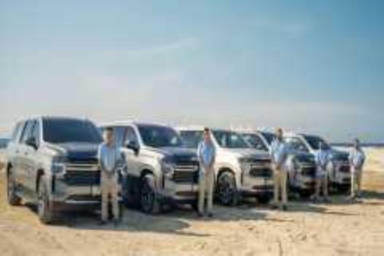 Los Cabos Airport: Transfer to Tourist Corridor Roundtrip public