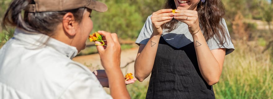 Alice Springs : billet d'entrée au parc du désert