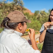Alice Springs: Desert Park Entry Ticket
