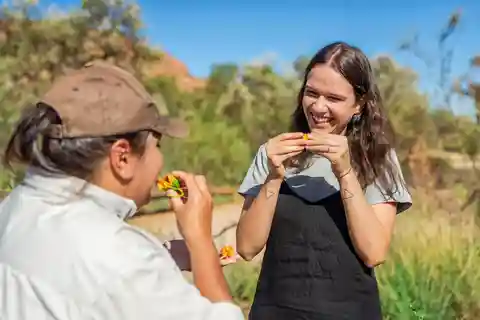 Alice Springs: Ingresso para o parque do deserto