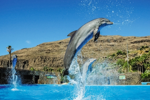 Gran Canaria: toegangskaartjes voor Palmitos Park